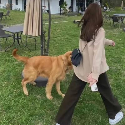 智慧杀手